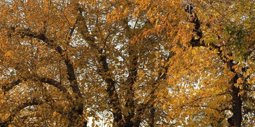 Autum Color Sky Scapes 1024x512