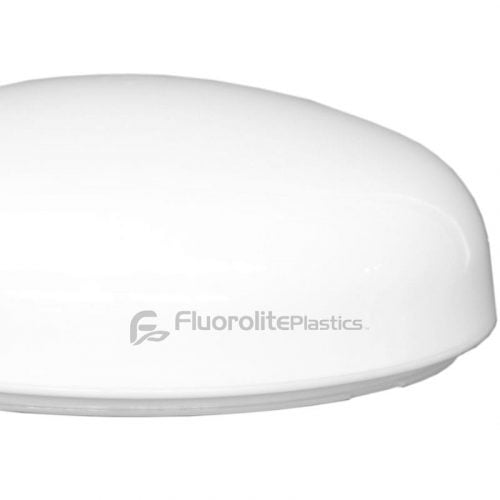 circline lip mushroom2 web large 1