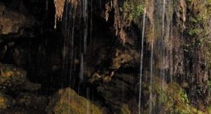 mossy falls sky scapes 1440 x 720 cmyk 324x162