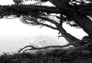 ocean black and white sky scapes 416x208