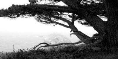 ocean black and white sky scapes 416x208