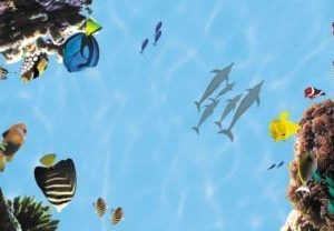 oceanview big sky sky scapes cmyk 700 x 1440 416x208