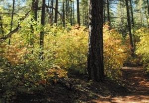 payson trail sky scapes 1440 x720 cmyk 416x208