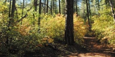 payson trail sky scapes 1440 x720 cmyk 416x208