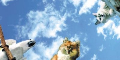 pets sky scape 1440 x 720cmyk 416x208