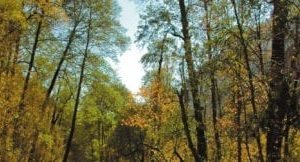 still river sky scape 720 x 1440 cmyk 324x162