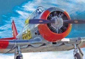 trainer sky scapes 1440 x 720 cmyk 416x208