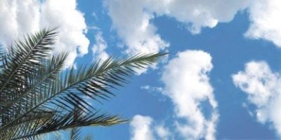 tropical palm sky scapes 1440 x 720 cmyk 416x208