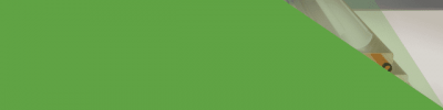 Full Background Border Phone e1616511498484