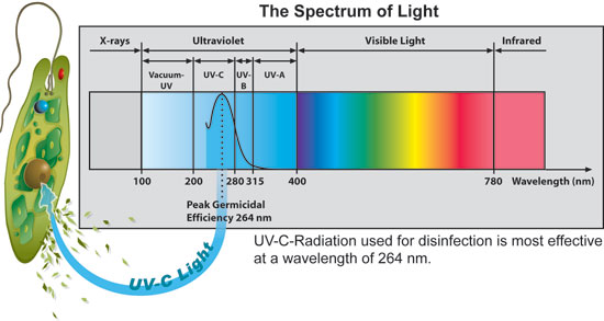 scienceUV Cspectrum