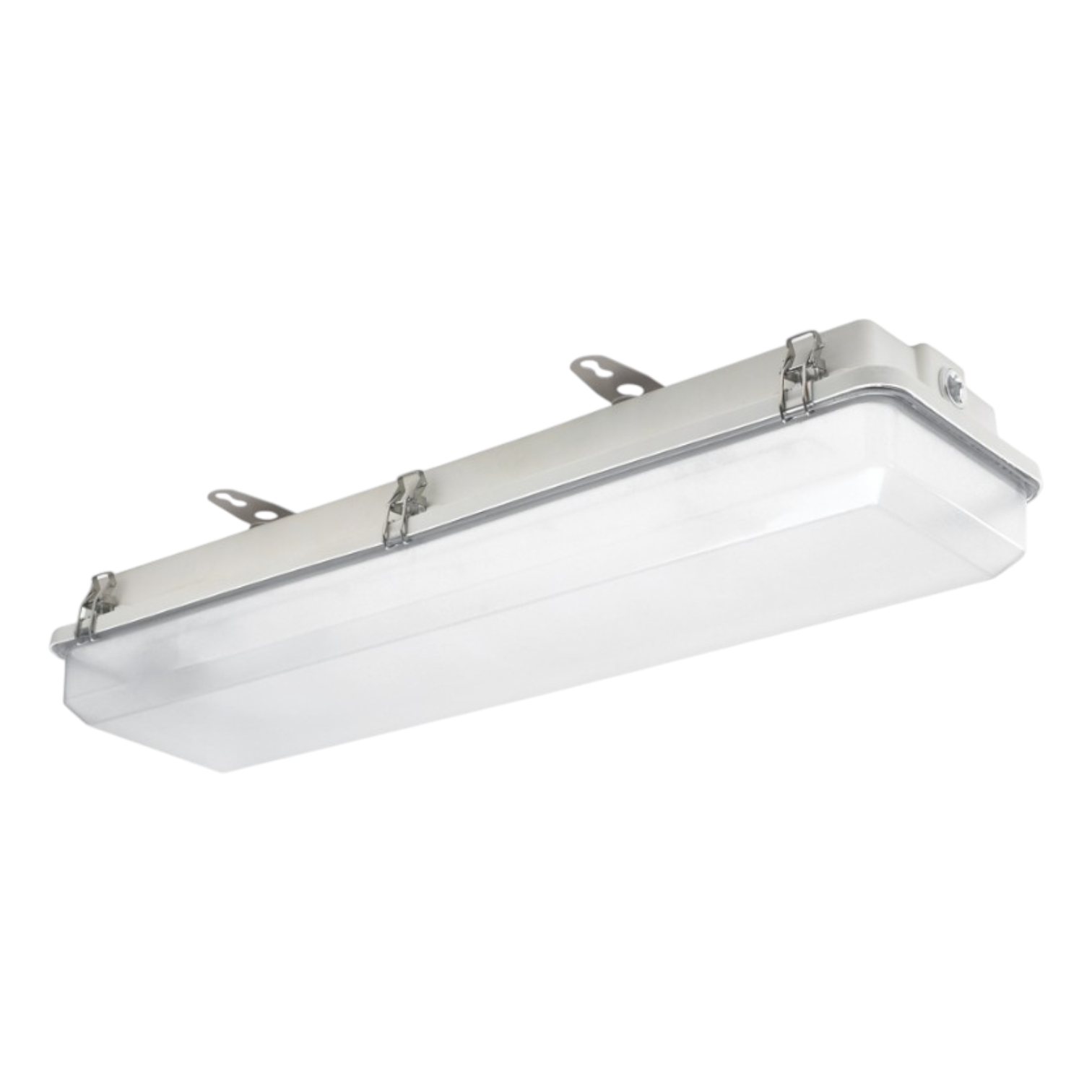 ReadiLED phoenix vaportight lens