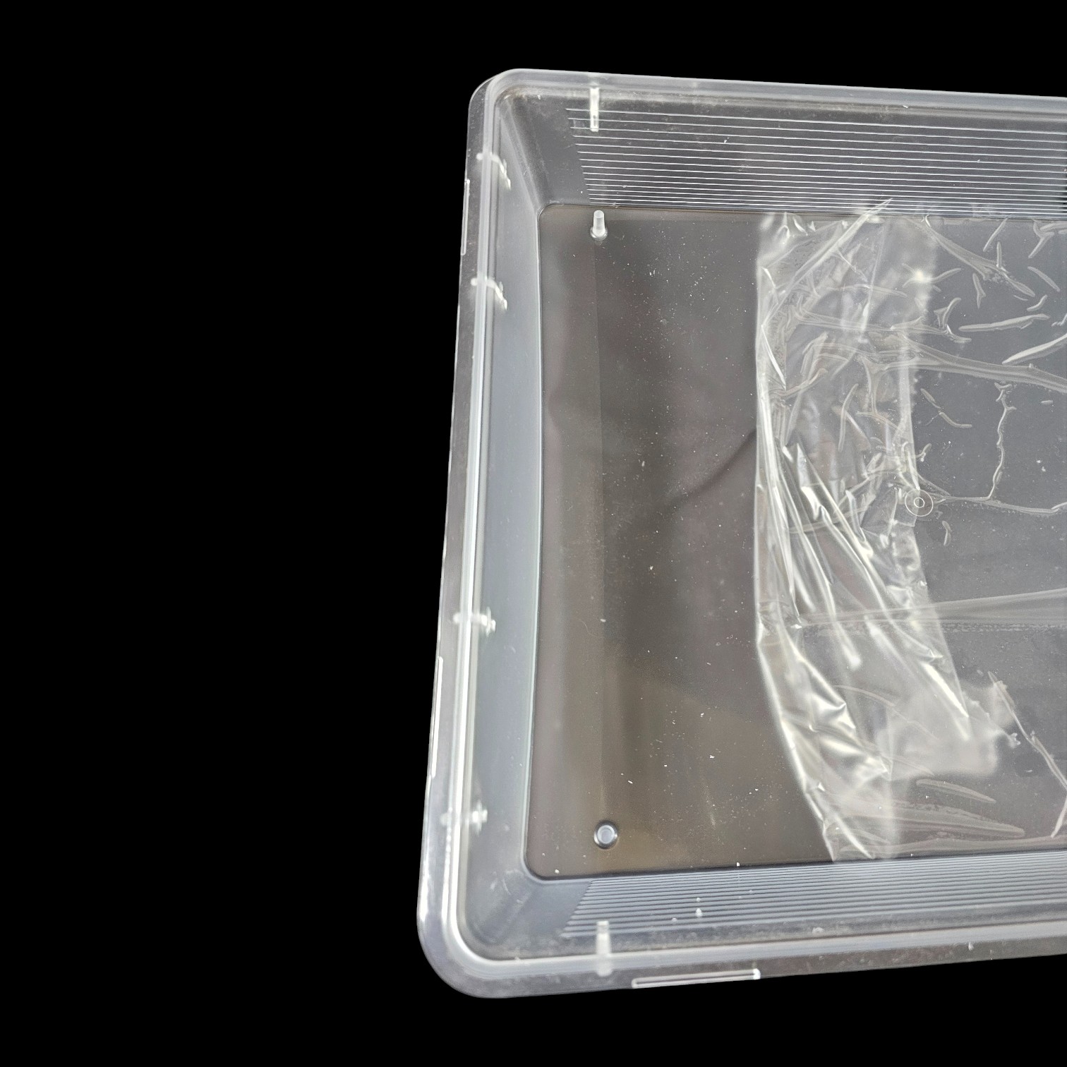 frosted ct4 vaportight lens